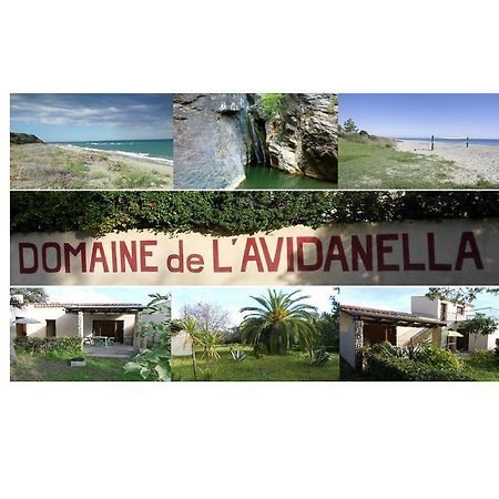 شقة Domaine De L'Avidanella سانتا لوسيا دى مورياني المظهر الخارجي الصورة
