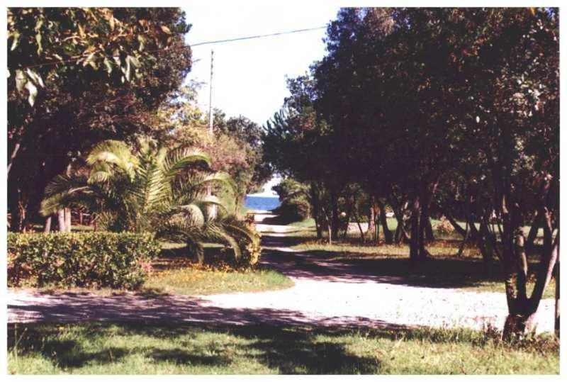 شقة Domaine De L'Avidanella سانتا لوسيا دى مورياني المظهر الخارجي الصورة