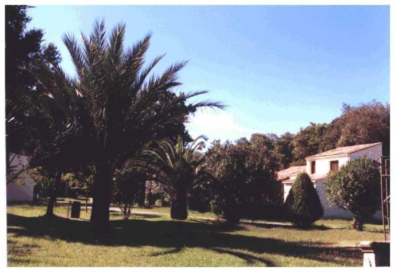 شقة Domaine De L'Avidanella سانتا لوسيا دى مورياني المظهر الخارجي الصورة