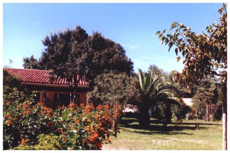 شقة Domaine De L'Avidanella سانتا لوسيا دى مورياني المظهر الخارجي الصورة