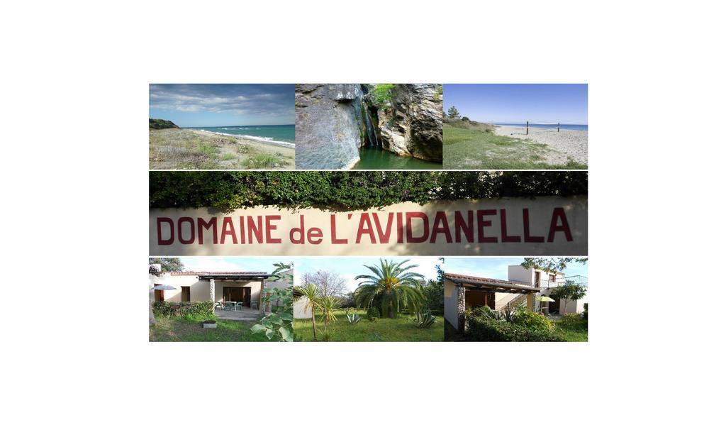 شقة Domaine De L'Avidanella سانتا لوسيا دى مورياني المظهر الخارجي الصورة