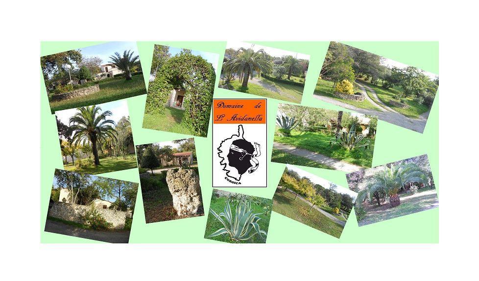 شقة Domaine De L'Avidanella سانتا لوسيا دى مورياني المظهر الخارجي الصورة
